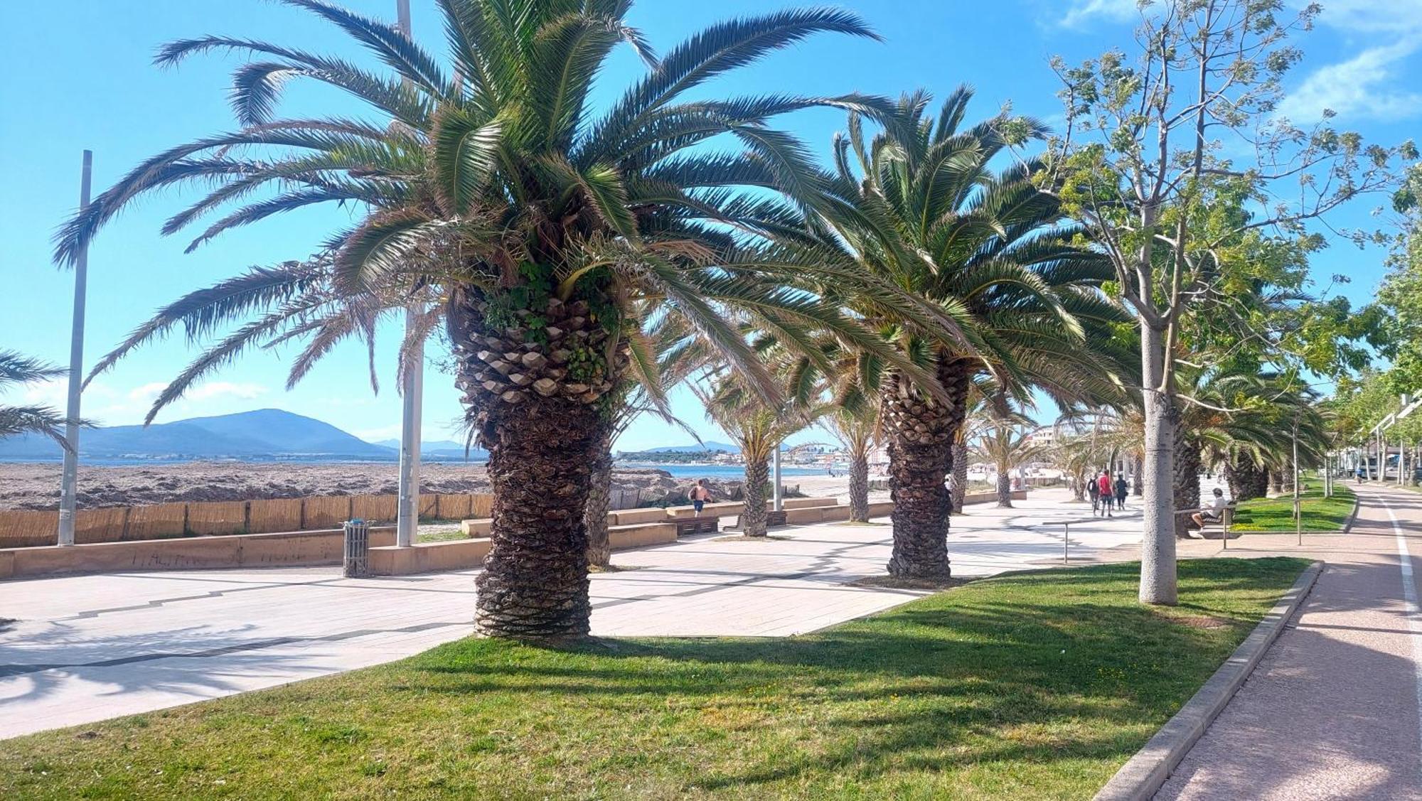 Lovealghero Stanze In Attico Vista Mare Apartment *